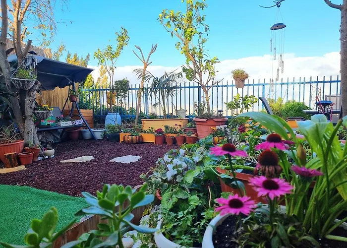 Bright Renovated Room Close To Everything Gerusalemme