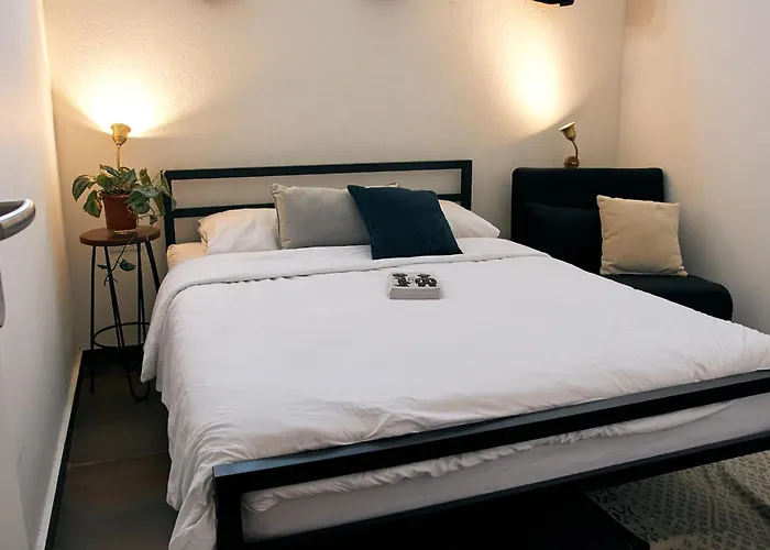 Jungle Jaffa Hostel Age 18 To 45 Tel Aviv